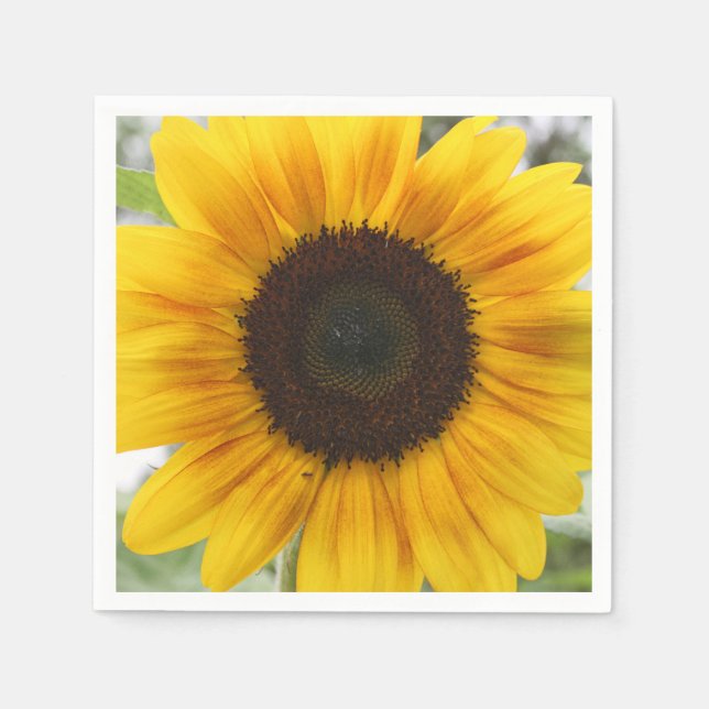 Serviette en papier Tournesol d'été (Devant)