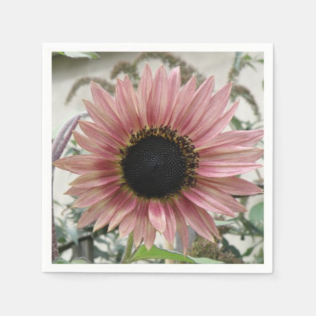 Serviette En Papier Tournesol rose pâle (Devant)