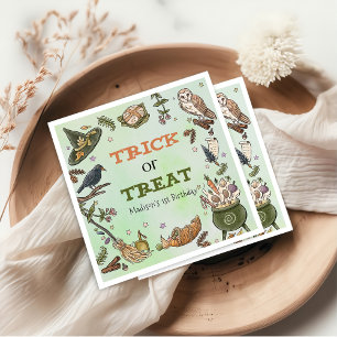 Serviette En Papier Trick ou traiter sorcière Halloween Napkins Annive