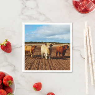 Serviette En Papier Trois vaches coquines Highland, serviettes en papi
