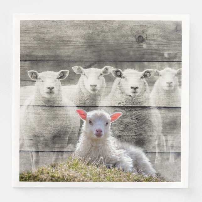 Serviette En Papier Troupeau de moutons agneau bébé (Devant)