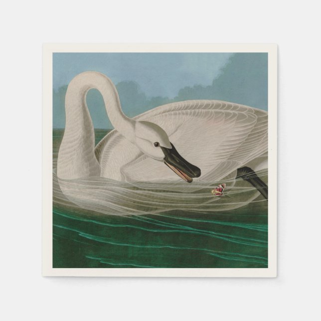 Serviette En Papier Trumpeter Swan Birds of America Audubon Print (Devant)