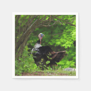 Serviette En Papier Turquie sauvage mâle mature - Thanksgiving