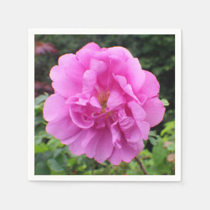 Serviette En Papier Une seule fleur rose