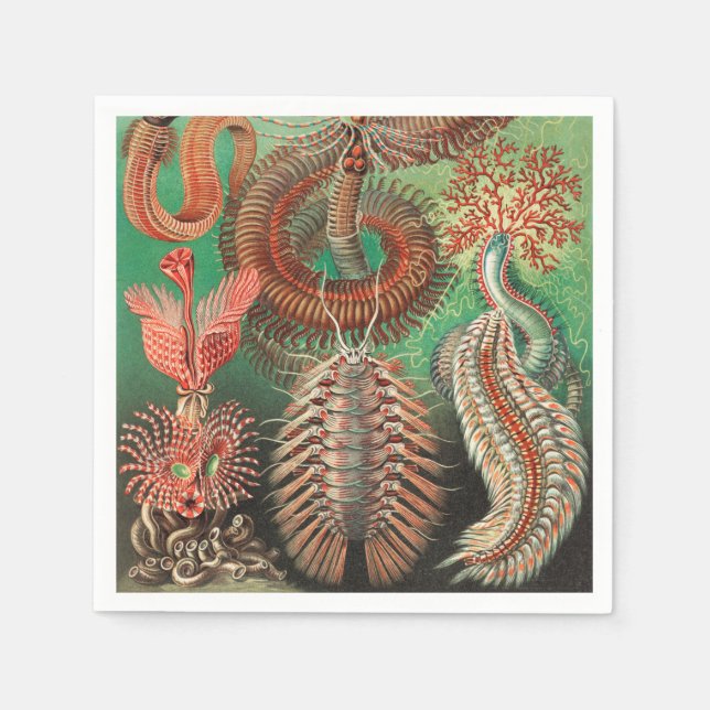 Serviette En Papier Vers, Annelids Chaetopoda par Ernst Haeckel (Devant)