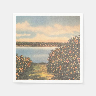 Serviette En Papier Vintage Floride Orange Grove Napkin