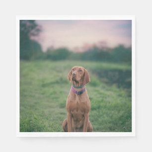 Serviette En Papier vizsla assise