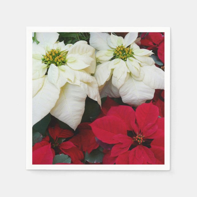 Serviette En Papier White and Red Poinsettias (Devant)