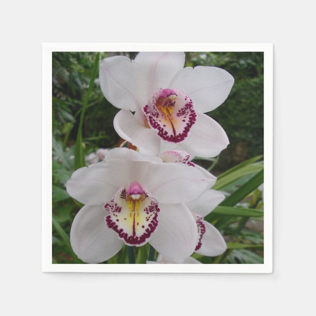 Serviette En Papier White Orchids Beautiful Tropical Flowers (Devant)