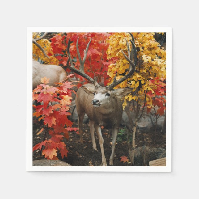 Serviette En Papier Whitetail En Automne (Devant)