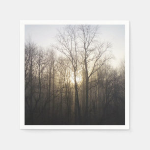 Serviette En Papier Winter Fog Sunrise Nature Photographie