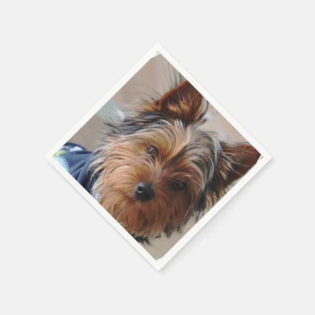 Serviette En Papier Yorkshire Terrier (Coin)