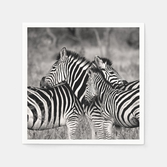 Serviette En Papier Zebra Herd Nature Safari Stripes noir et blanc (Devant)
