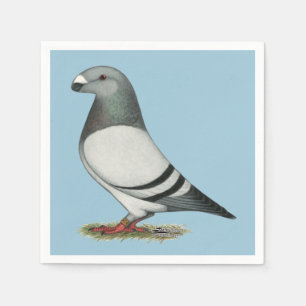 Serviette Jetable Afficher Pigeon Barre Bleue Racer