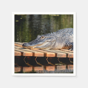 Serviette Jetable Alligator at Homosassa Springs Wildlife State Park