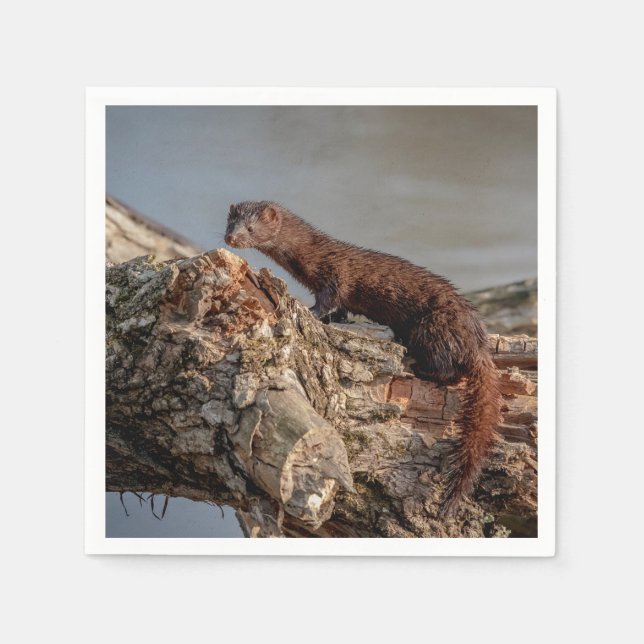 Serviette Jetable American Mink (Devant)