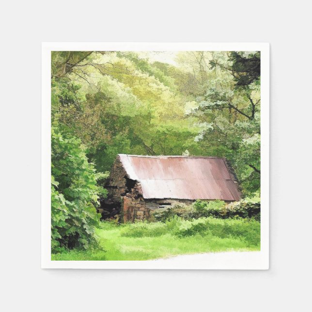 SERVIETTE JETABLE ANCIENNES FOSSES (Devant)