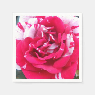 Serviette Jetable Anicia