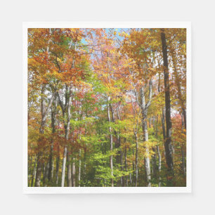 Serviette Jetable Automne Forêt II Automne Paysage Photographie