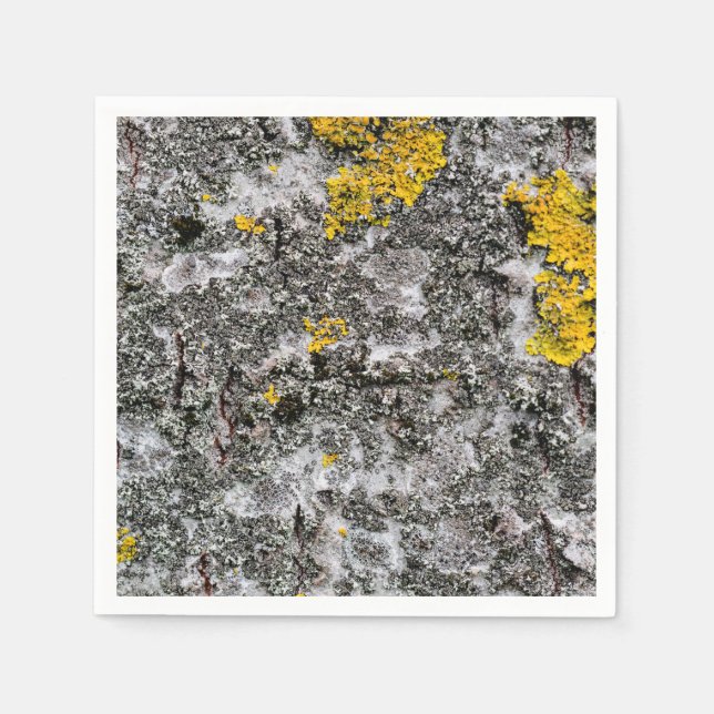 Serviette Jetable Birch et Lichen (Devant)
