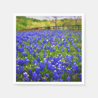 Serviette Jetable Bluebonnets au Texas