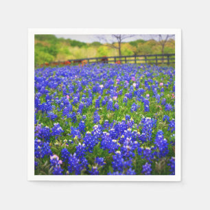Serviette Jetable Bluebonnets dans le Texas