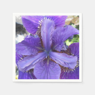 Serviette Jetable Brandeis