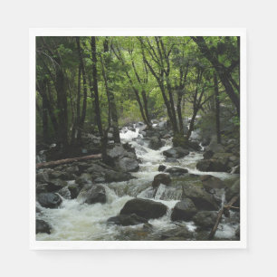 Serviette Jetable Bridalveil Creek dans le parc national de Yosemite