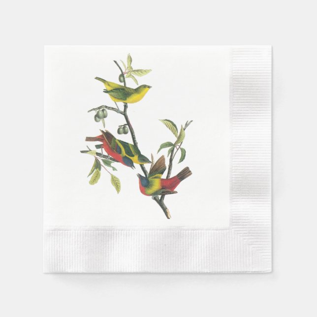 Serviette Jetable Bunting peint par Audubon (Devant)