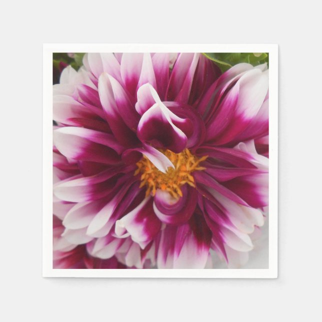 Serviette Jetable Cartheuserine (Devant)