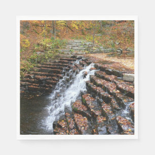 Serviette Jetable Cascade à Laurel Hill State Park II