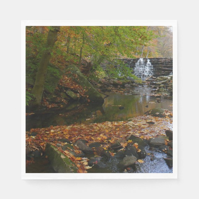 Serviette Jetable Cascade automnale et Creek Pennsylvania Nature (Devant)