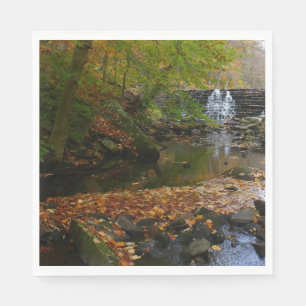 Serviette Jetable Cascade et ruisseau d'automne en Pennsylvanie Natu