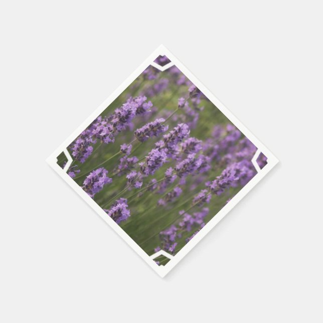 Serviette Jetable Champ de prêteur (Coin)