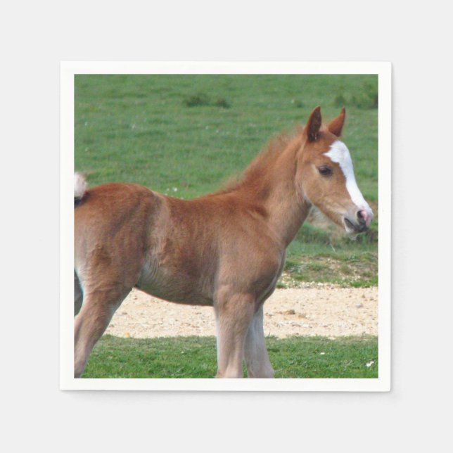 Serviette Jetable Cheval (Devant)