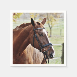 Serviette Jetable Cheval de châtaigne avec la flamme, frein, dans l