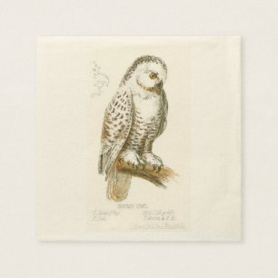 Serviette Jetable Chouette des neiges