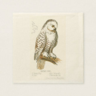 Serviette Jetable Chouette des neiges