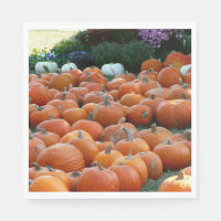 Citrouilles et Chrysanthèmes Photographie de la ré