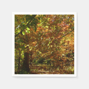 Serviette Jetable Couvert de feuilles d'automne II Photographie d'au