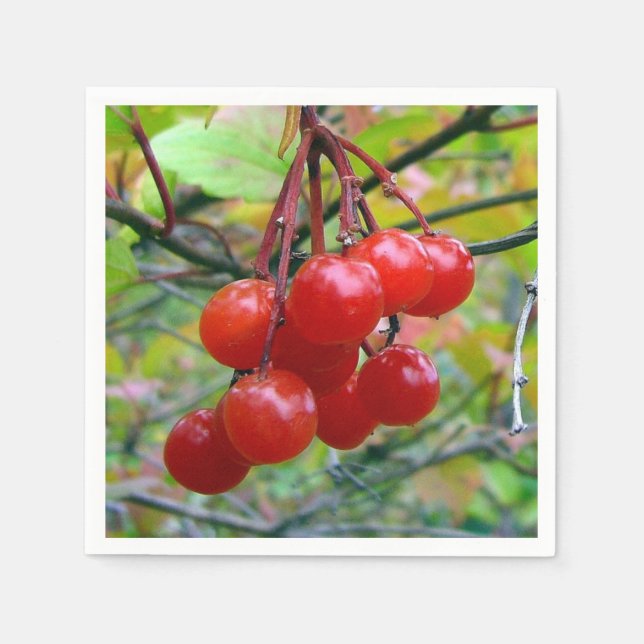 Serviette Jetable Cranberry (Devant)