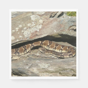 Serviette Jetable Crotale dans le parc national de Shenandoah