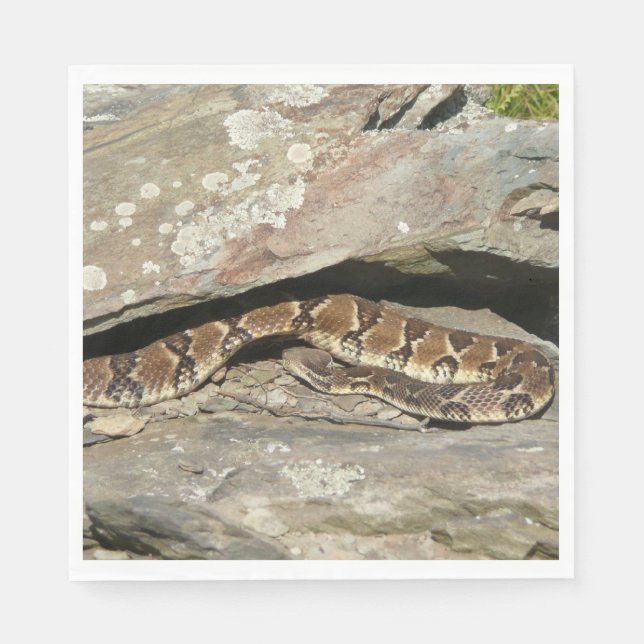 Serviette Jetable Crotale dans le parc national de Shenandoah (Devant)