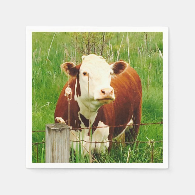 Serviette Jetable Curious Cow 4Ricky (Devant)