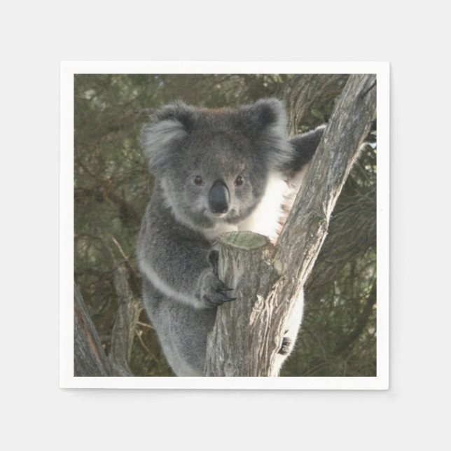 Serviette Jetable Cute Koala Escalade un arbre (Devant)