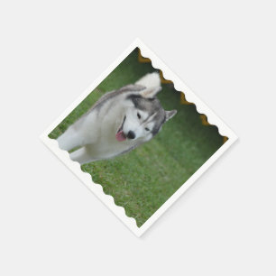 Serviette Jetable Cute Siberian Husky