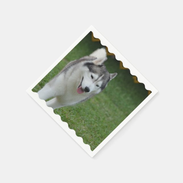 Serviette Jetable Cute Siberian Husky (Coin)
