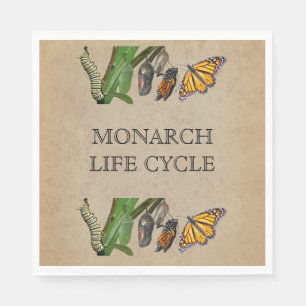 SERVIETTE JETABLE CYCLE DE VIE DE MONARQUE