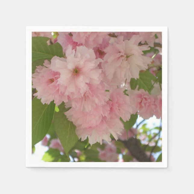 Serviette Jetable Double floraison cerisier II printemps fleuri (Devant)