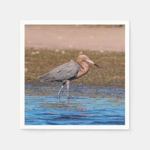 Serviette Jetable Egret rouge sur North Beach